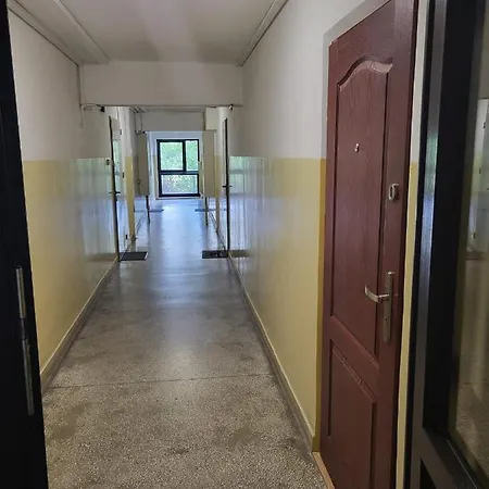 Apartment Bonifacego 77 *